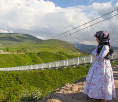 مراکز فروش این‌لی در اردبیل