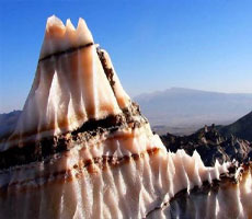 مراکز فروش این‌لی در بوشهر