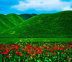 مراکز فروش این‌لی در گلستان