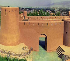 مراکز فروش این‌لی در خراسان جنوبی