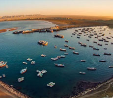 مراکز فروش این‌لی در سیستان بلوچستان